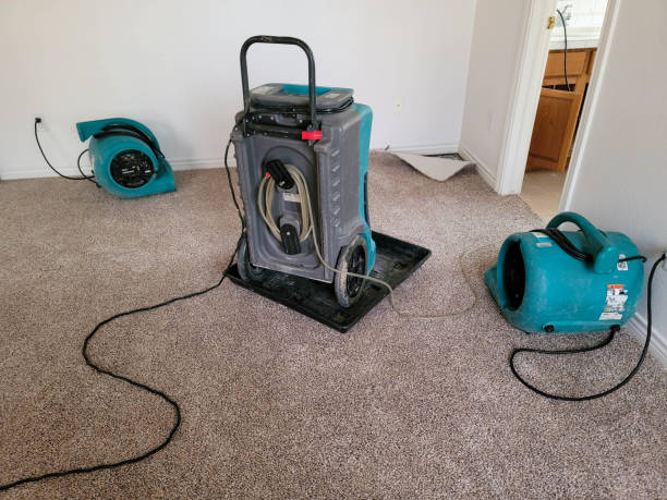 Best Flooded house restoration  in Canadian, TX
