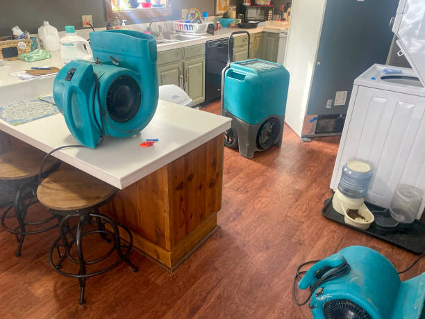 Best Commercial water damage restoration  in Canadian, TX