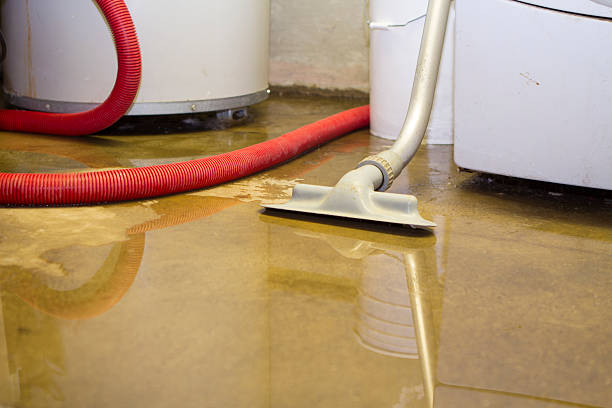 Best Basement water damage restoration  in Canadian, TX