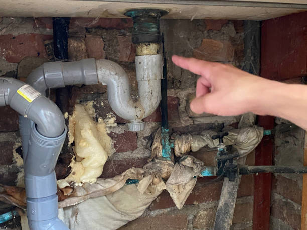 Best Water damage cleanup near me  in Canadian, TX